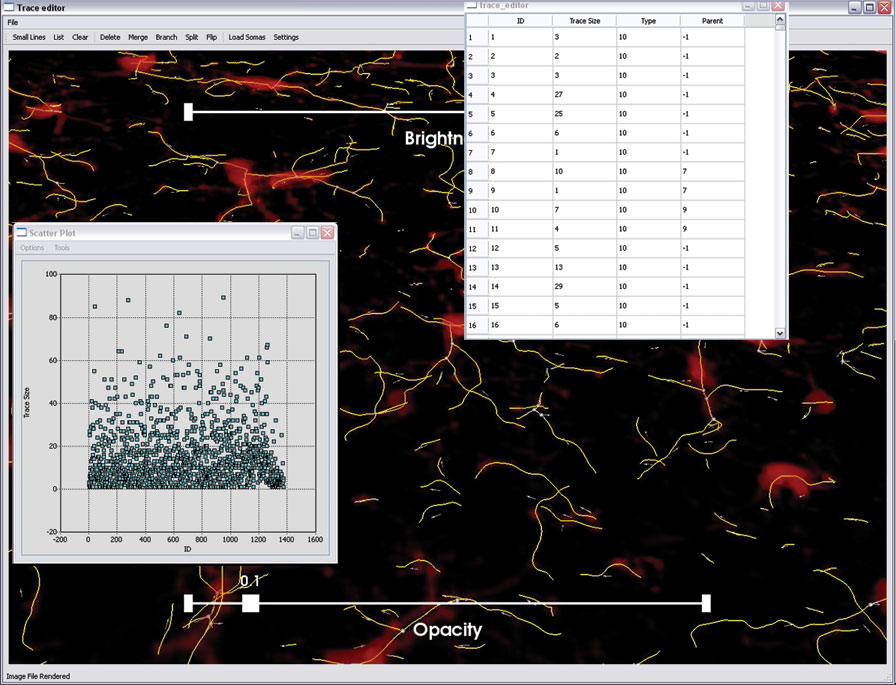 Screen view of our linked space system for 3-D visualization and editing of traces.