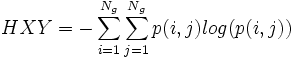 HXY = -\sum_{i=1}^{N_g} \sum_{j=1}^{N_g} p(i,j)log(p(i,j))