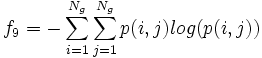 f_9 = -\sum_{i=1}^{N_g} \sum_{j=1}^{N_g} p(i,j)log(p(i,j))
