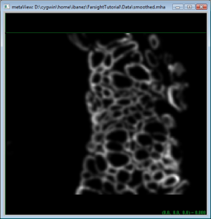 GaussianSmoothdCellsTutorial01.png