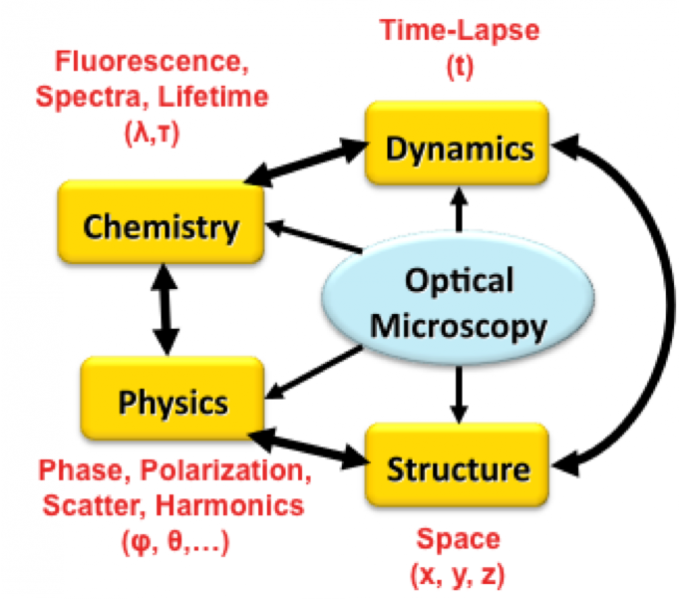 File:Microscopy-dimensions.png