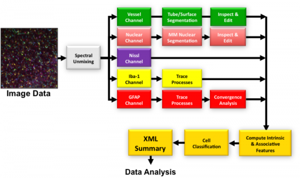 Flowchart summary of the main image analysis steps for this example.