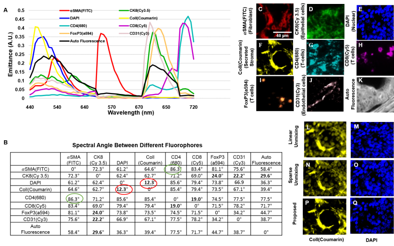 File:Spectra.png