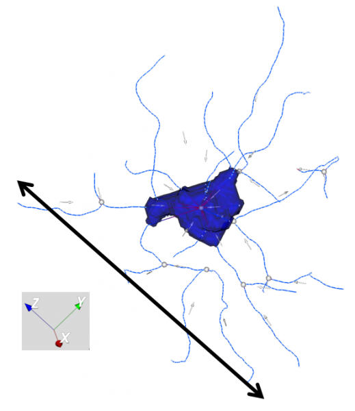 File:Neurondepth.png