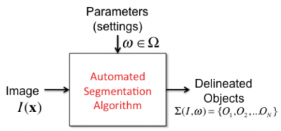 An automated segmentation algorithm accepts an image as input, and produces geometric representations of biological objects in the image. The parameter settings influence the correctness and accuracy of the output.