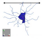 Neuronwidth.png