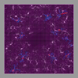 This image shows a purple 20x20 pixel gridline.