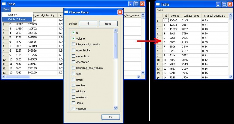 File:Visiblecolumns.JPG